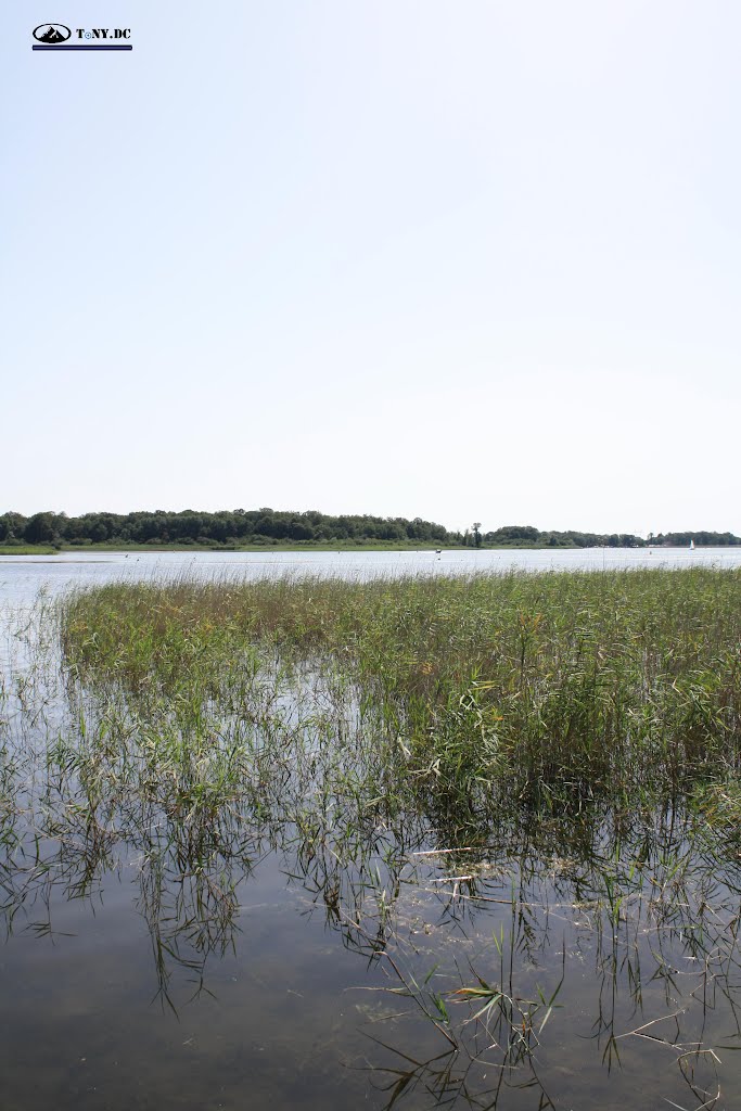 ETANG DU PUITS by ToNY.DC