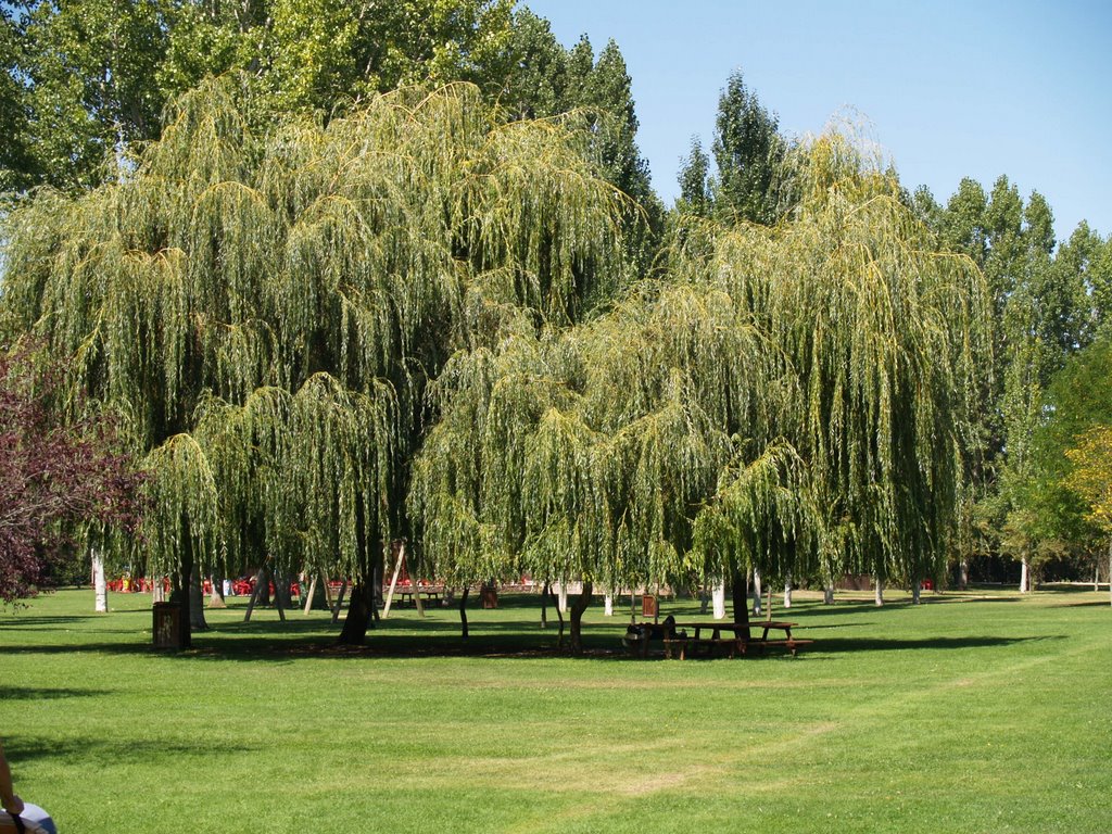 Parque de Candamia by César Molina