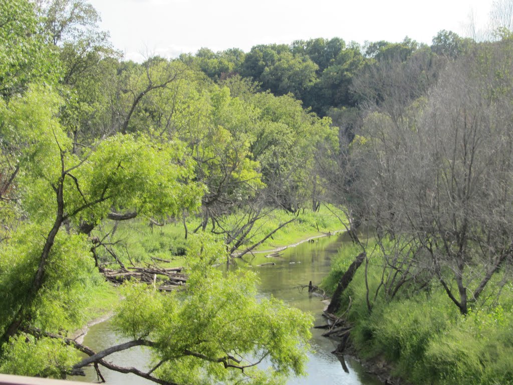 Moniteau Creek by Adam Elmquist