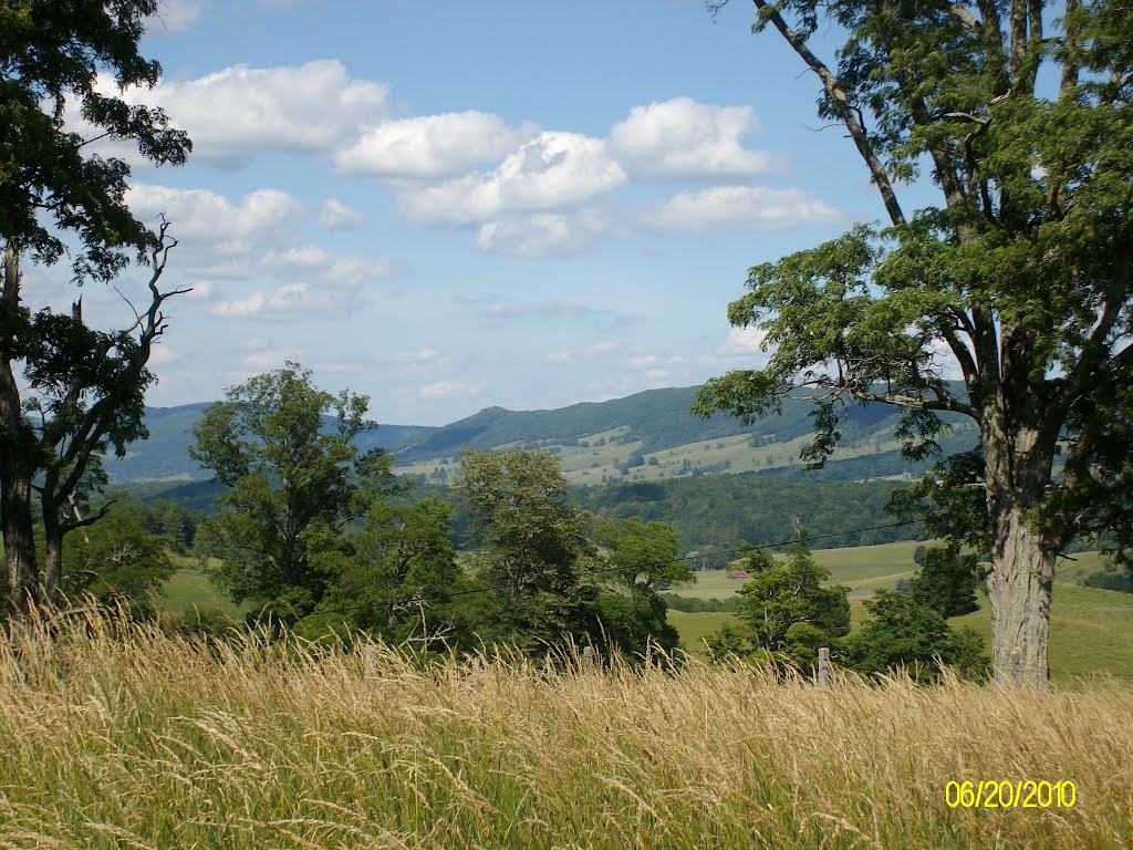 Valley thru trees by sparkyoffspring