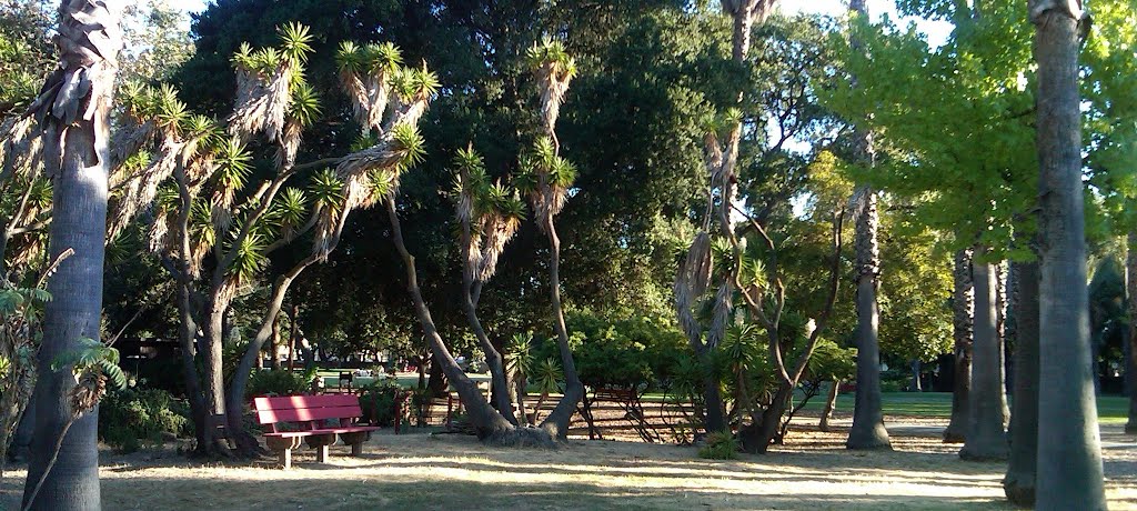 Chinese Cultural Garden Sanjose, CA, U.S.A by Rajinder S. Nijjar