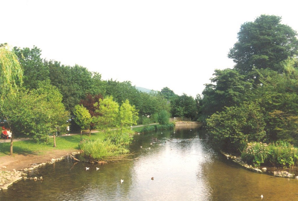 THE RIVER WYE by CLIVE BAILEY