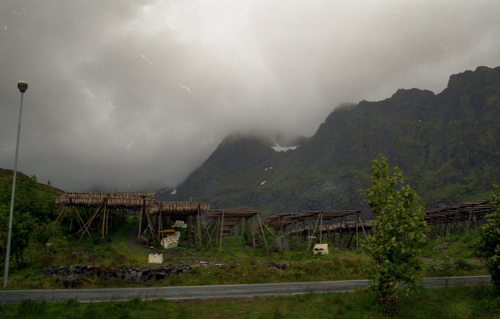 Moskenes, Lofoten, Norway by Michael Schmieder