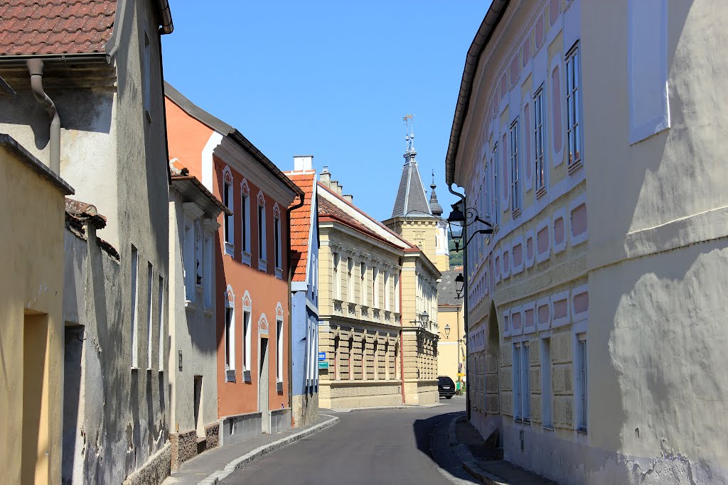 NÖ, Mautern, St. Pöltner Straße by Josef Friewald