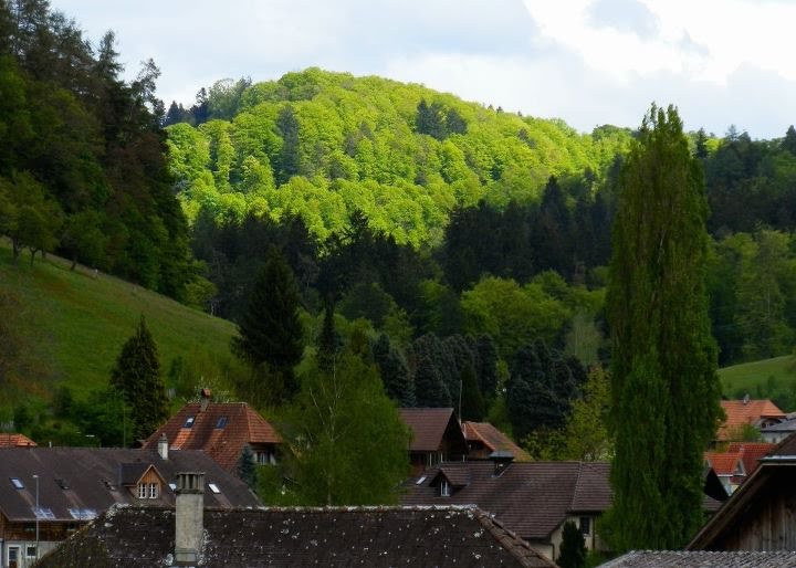 Grauenstein (Hettiswil) by Thomas Schneeberger