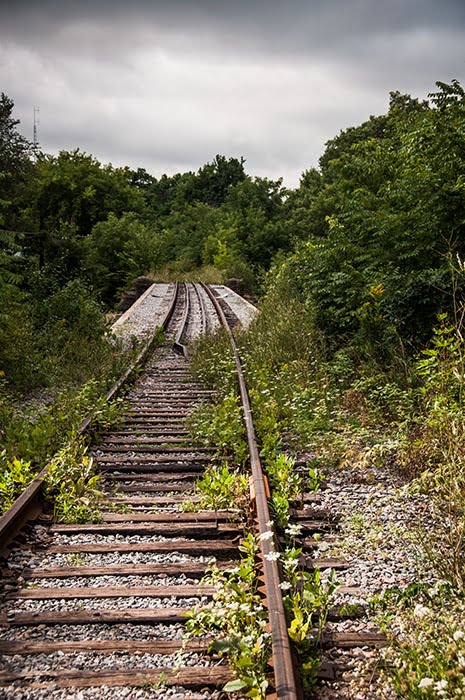 Forgotten Tracks by M Caton