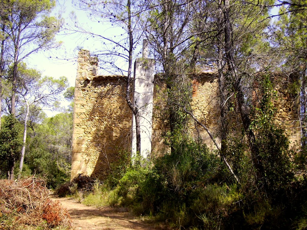 Restes de l'ermita de sant Baldiri (Galliners) by Josep Maria Viñolas Esteva