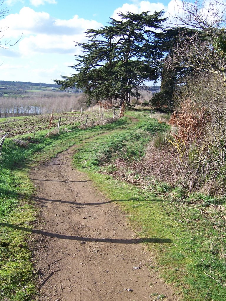 Sentier GR3 à Chalonnes by AmI2Blame4