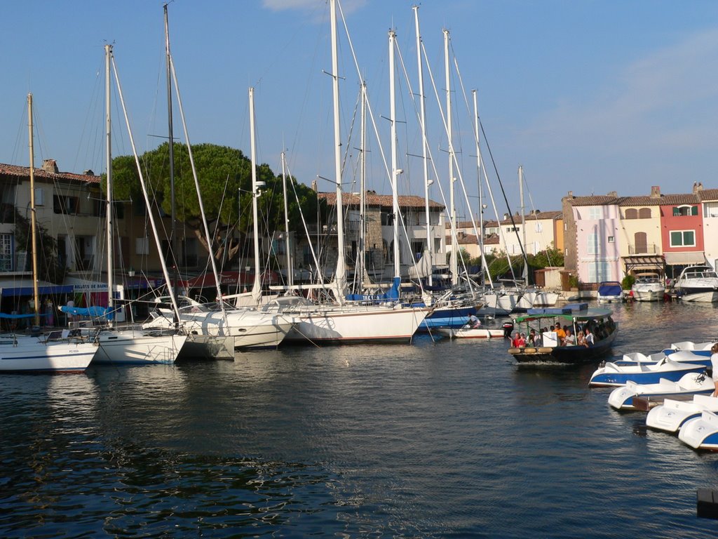 Port Grimaud by Ricky Gilly