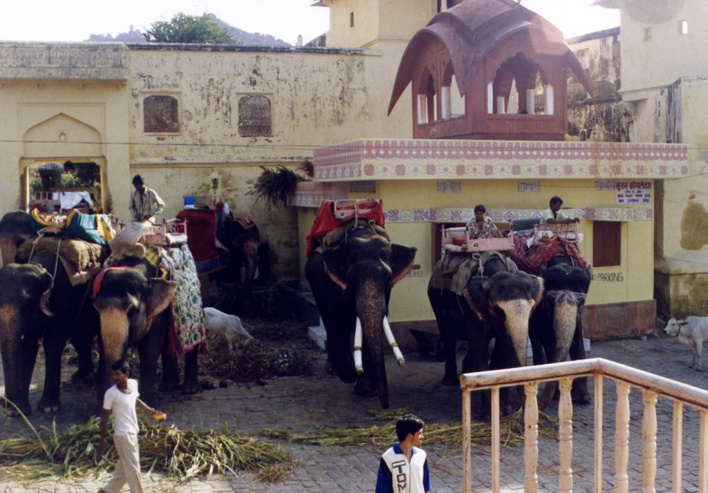 Rajasthan - Jaipur - Amber Fort - Elephant booking office by Paolo Grassi