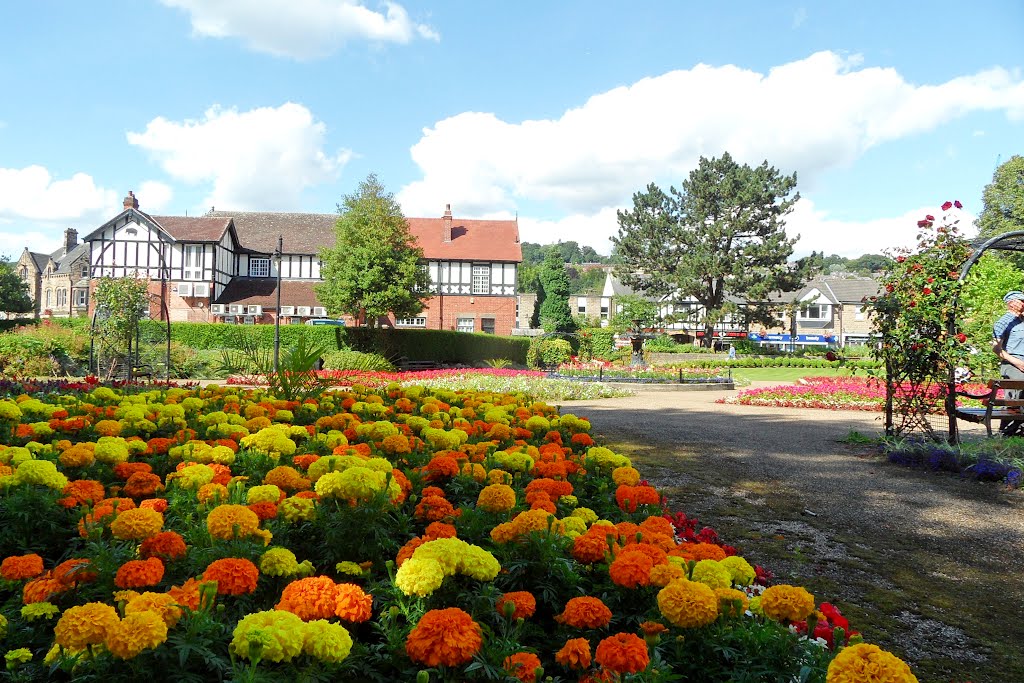 Matlock Green park by henksum