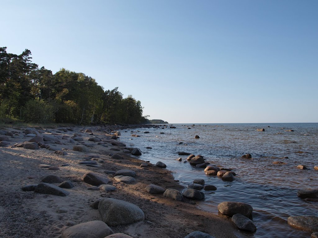 Gulf of Riga coast near Kaltene by Rudolph LV