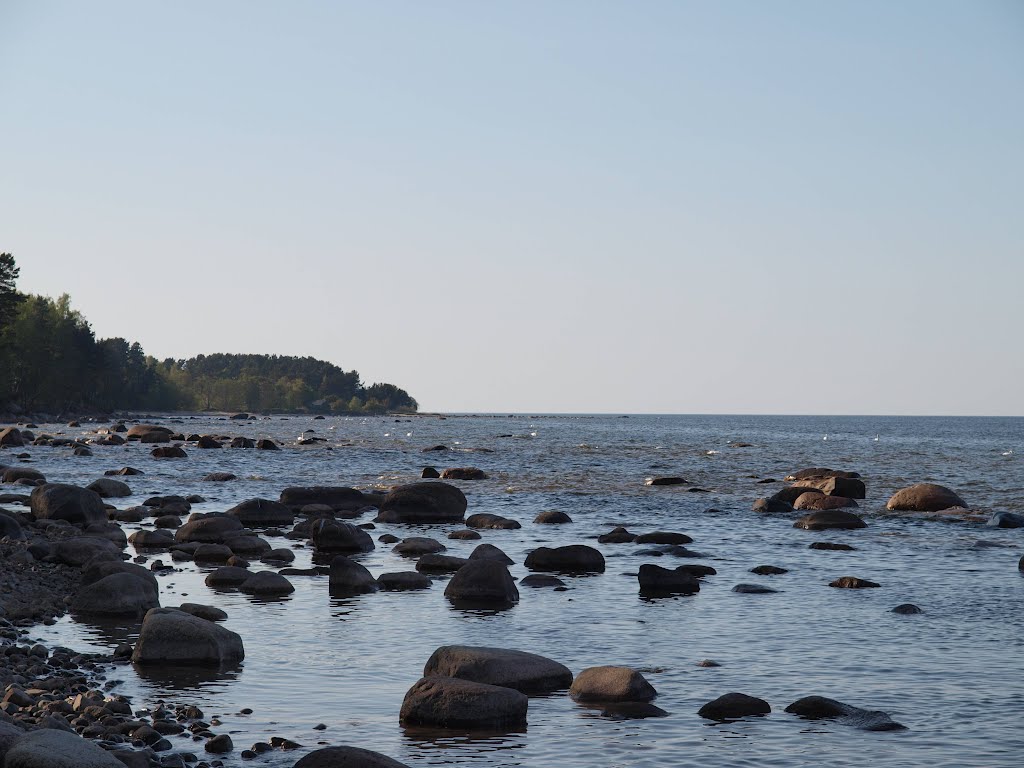 Gulf of Riga coast near Kaltene by Rudolph LV