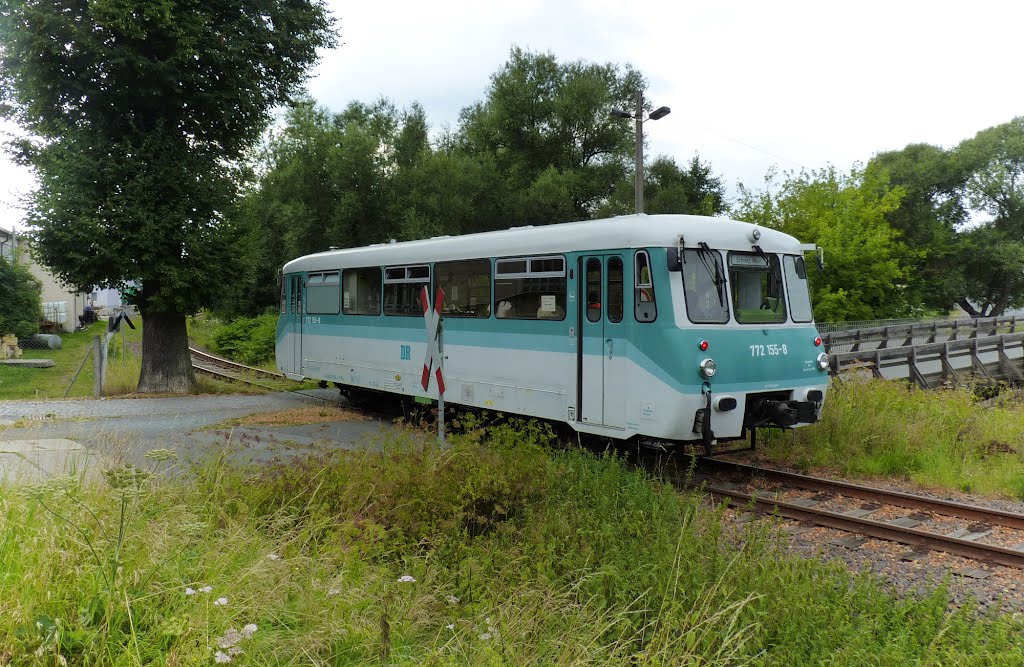 Ferkeltaxen Verkehr in Schleiz - 11.08.2012 by ivie1