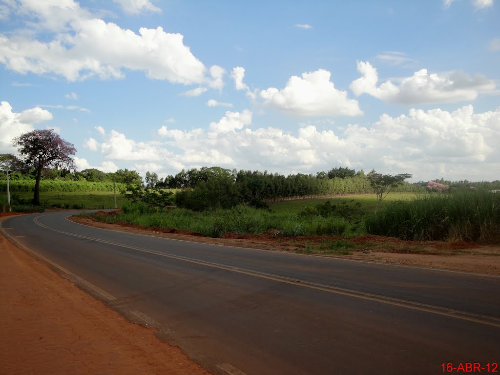 Rodovia vicinal Antonio Coletti, ligando as cidades de Itápolis aos distritos de Tapinas e Vila Botelho. Linda rodovia mas com várias curvas perigosas by MARCO AURÉLIO ESPARZA