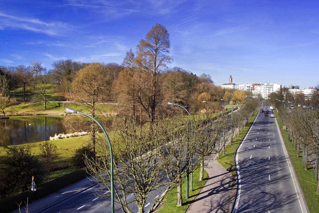 Avenue de Tervueren by Catalin Braica