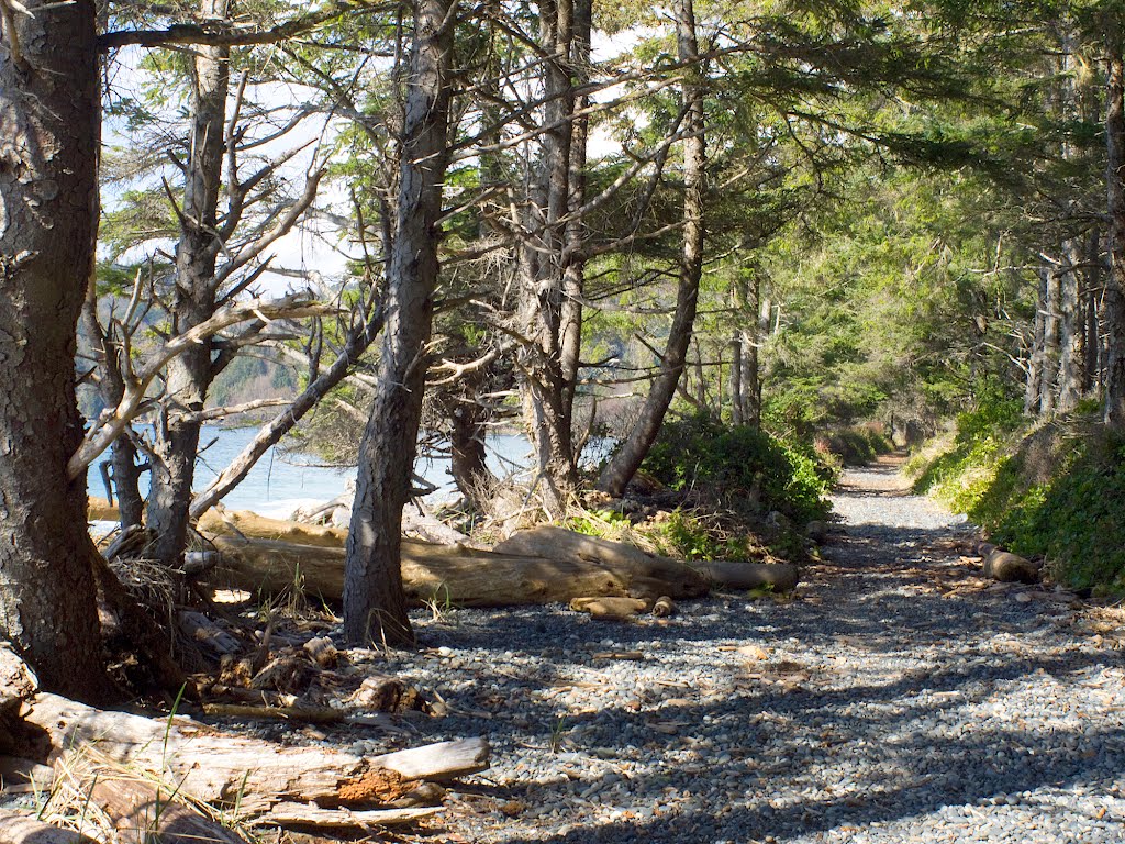 French Beach 4 path by Tom C.