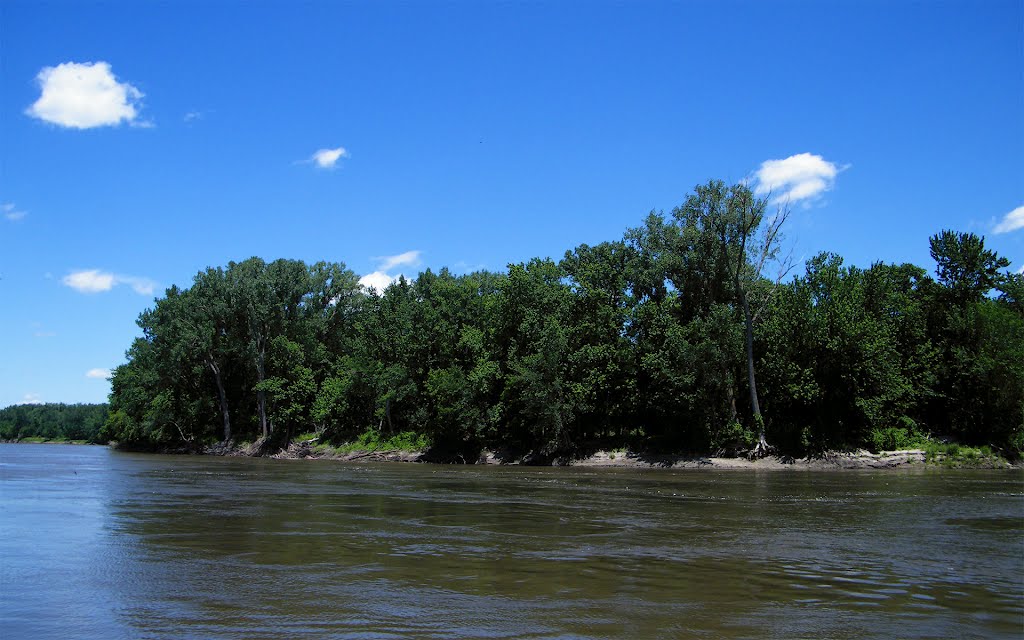 Swolen Minnesota River from the boat launch, Henderson, Minnesota by © Tom Cooper