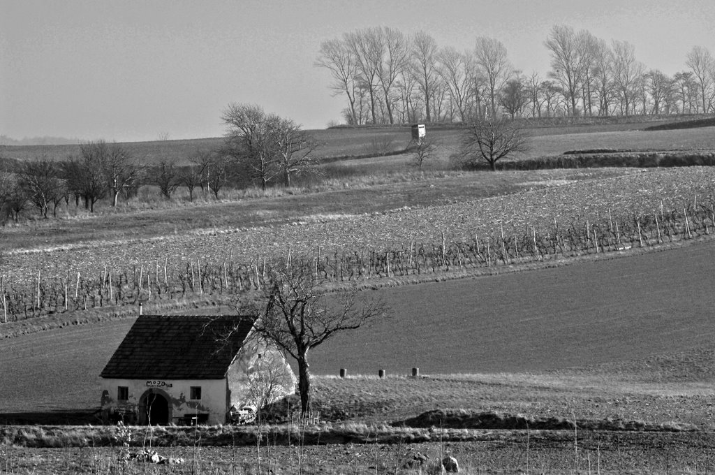 Kleinstaasdorf - Kellerstraße by © Sonny☼