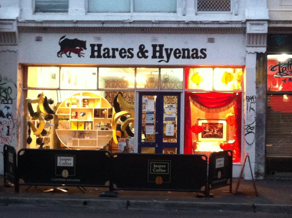 Window displays by Hares Hyensa