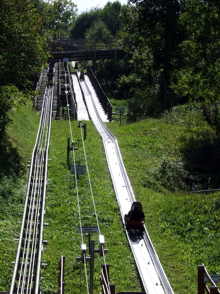 Lift Sommerrodelbahn by garteneidechse