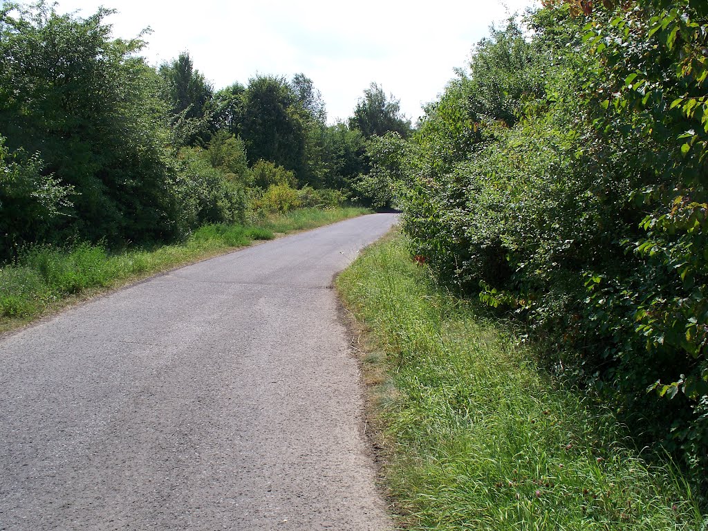 Niederzwehren Rad u. Fußweg Rengershausen by Buchautor u. Schriftsteller Winfried Schäfer 