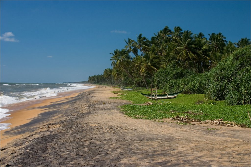 Waskaduwa, Sri Lanka by Tony Z