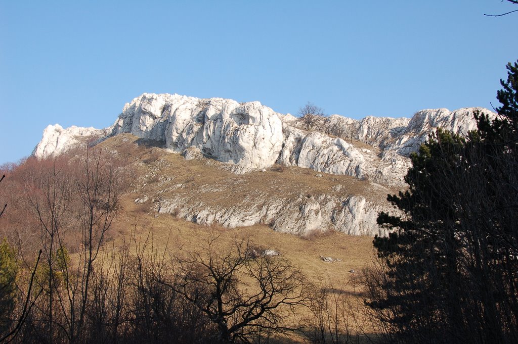 Skály nad Soutěskou by Jura Hradil