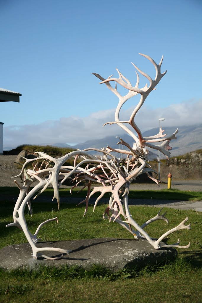 Djúpivogur, Austurland, Ísland (Iceland) by Hans Sterkendries