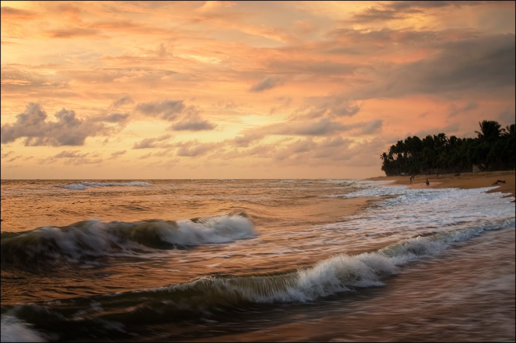 Mahawaskaduwa South, Wadduwa, Sri Lanka by Tony Z