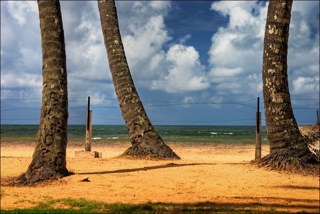 Waskaduwa, Sri Lanka by Tony Z