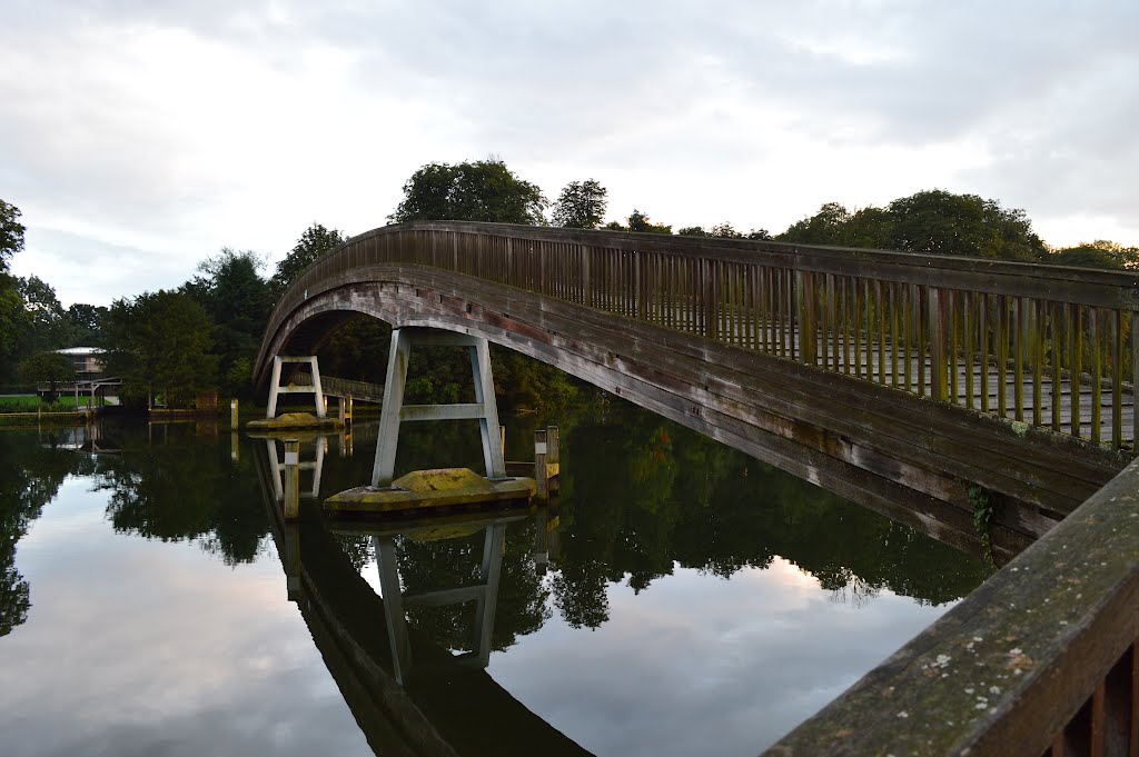 Temple footbridge by xodi