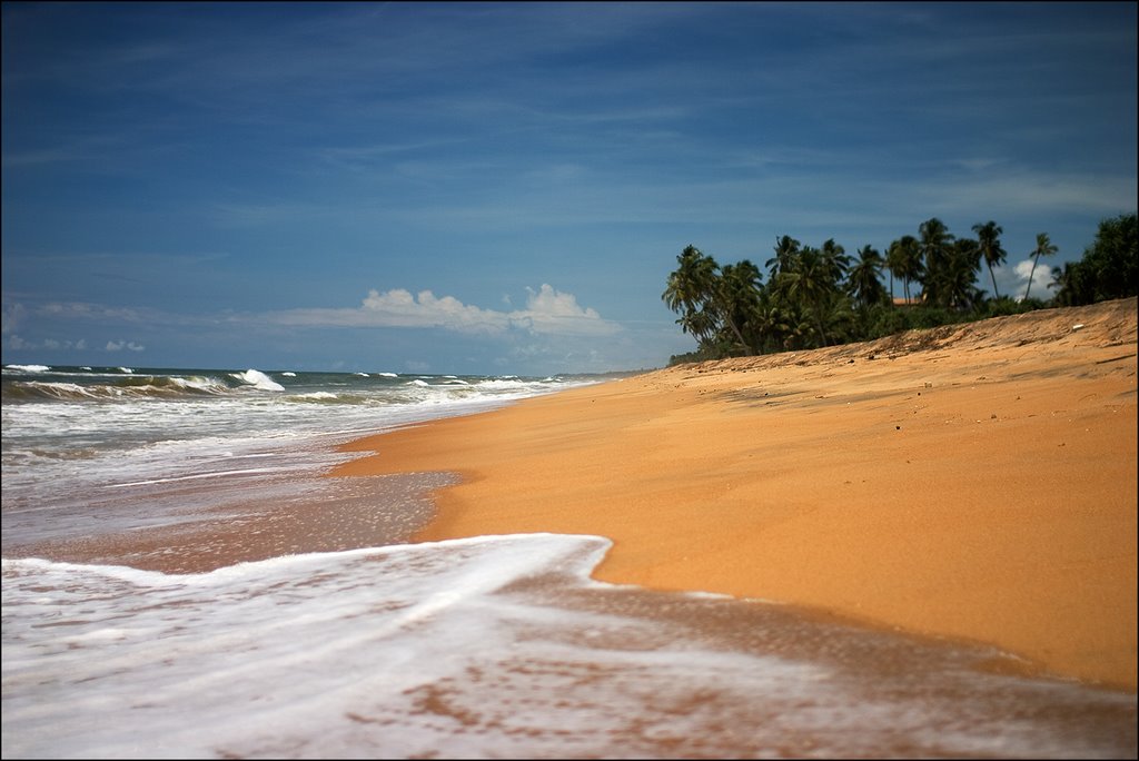 Kuda Waskaduwa West, Wadduwa, Sri Lanka by Tony Z