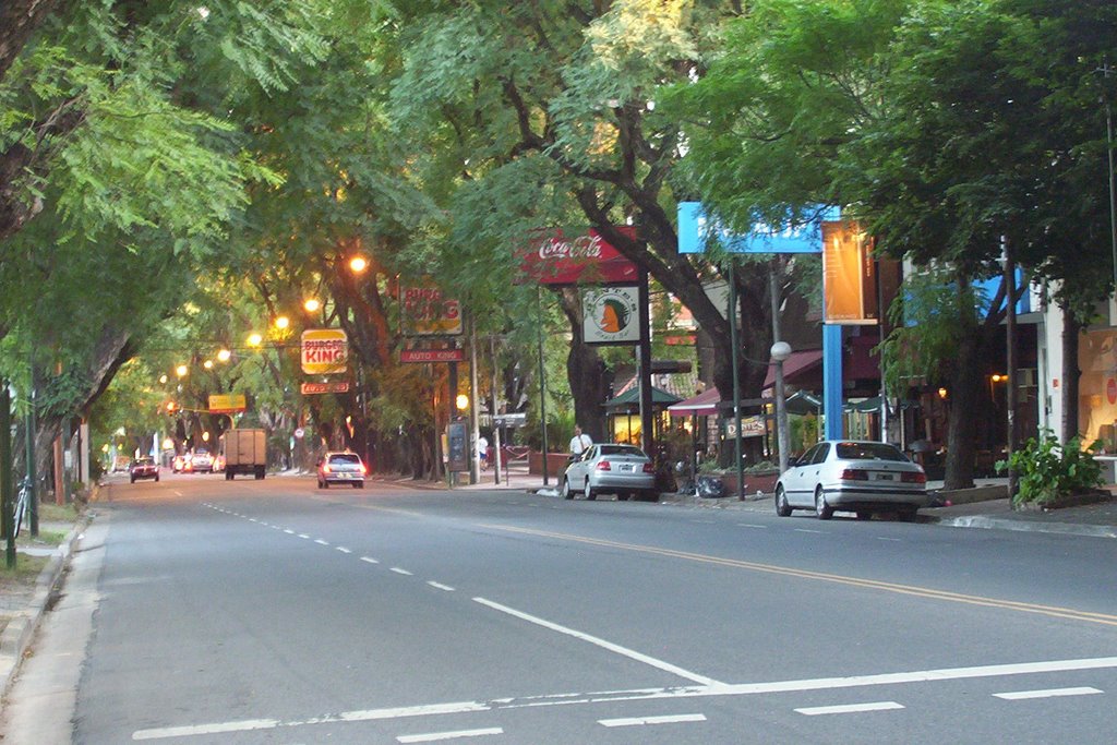 Libertador avenue - many dinning places to go ... by andysanisidro