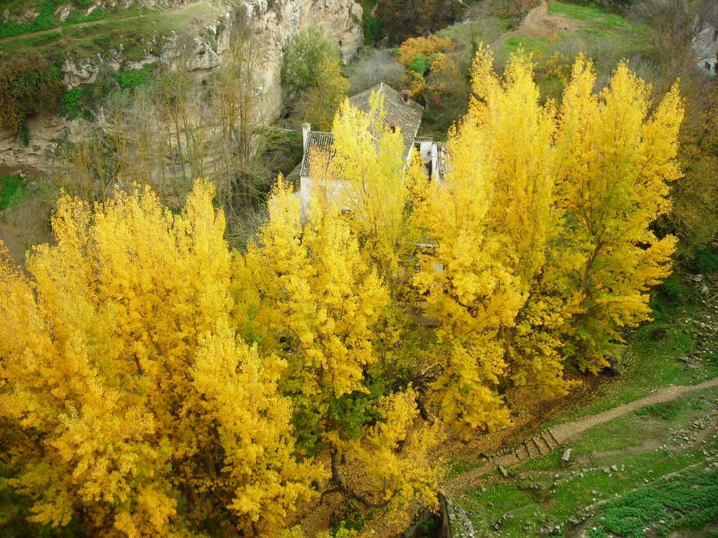 Alhama de Granada. Paisaje otoñal junto al río. Noviembre de 2007 by viajeroandaluz