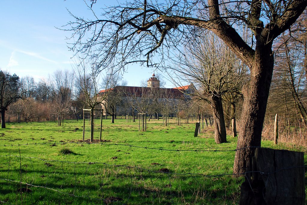 Obstwiese im Winter II by Arndt Stückemann