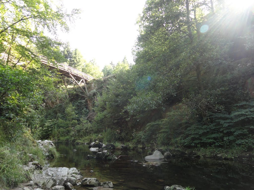 Gorges de Crosery, Vagney by Peter Huige