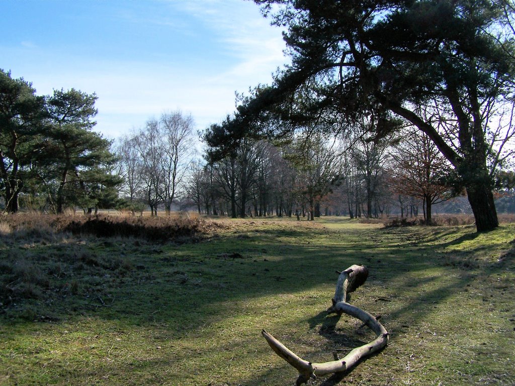 Groote Heide, Venlo by © BTF-Fotografie