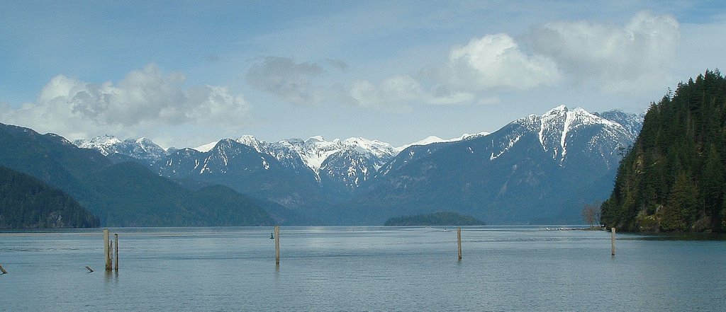 Pitt Lake by Ivan Planek