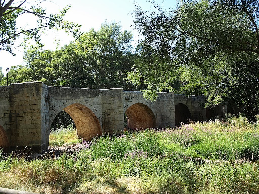 Quintana del Puente - Palencia by JoeCat