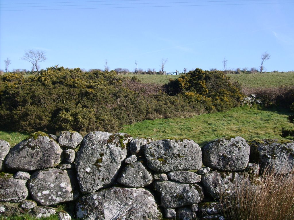 Dartmoor Scenery by TFa Muc