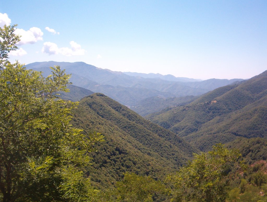 Dal passo della forcella by lucapettine