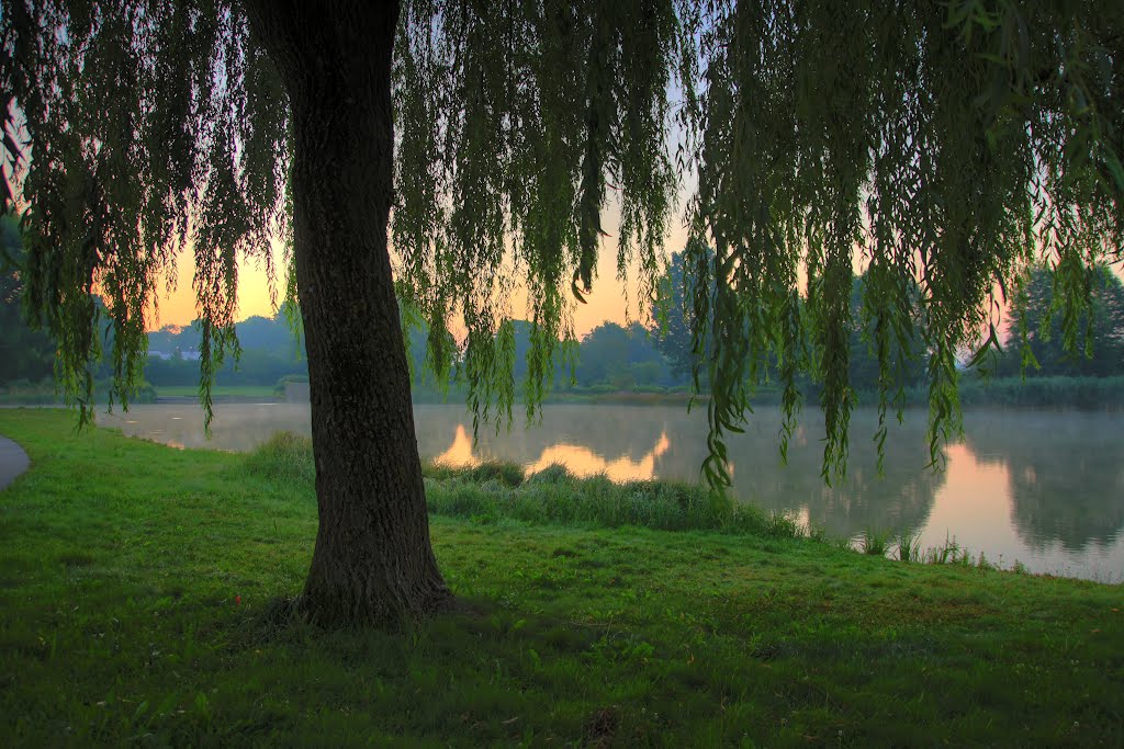 Stadtfriedhof Biberach by fotokostik