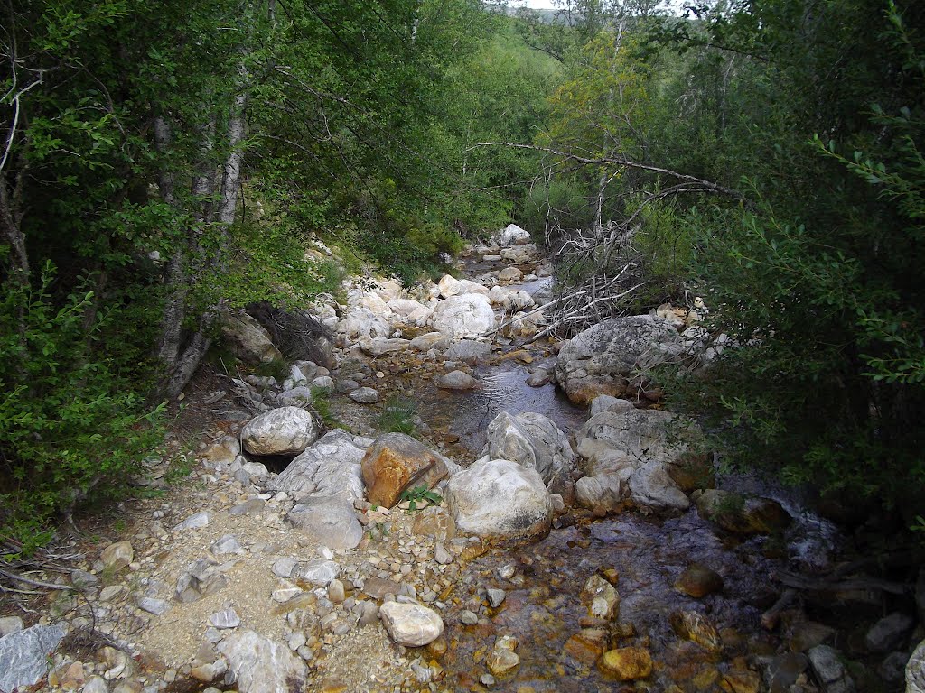 Rio del Lago; Cabrera Alta -- Región Leonesa by El Miedalo