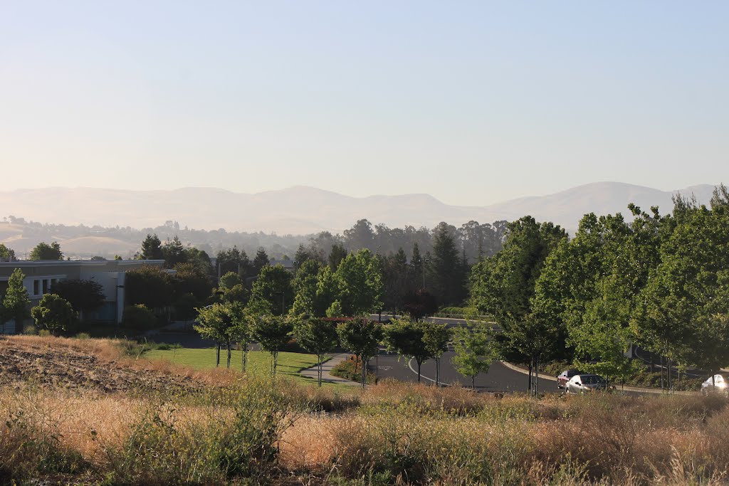 North Canyons Parkway by Brian Zurita