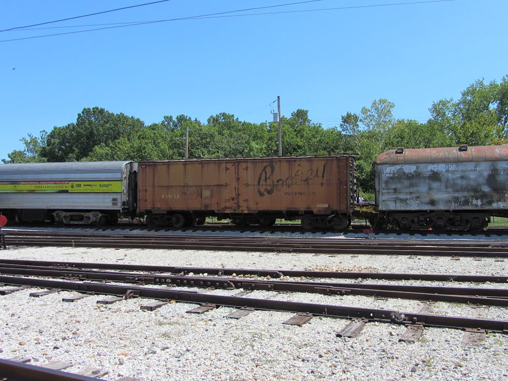 Bookey Packing Company Refrigerated Box Car by Adam Elmquist