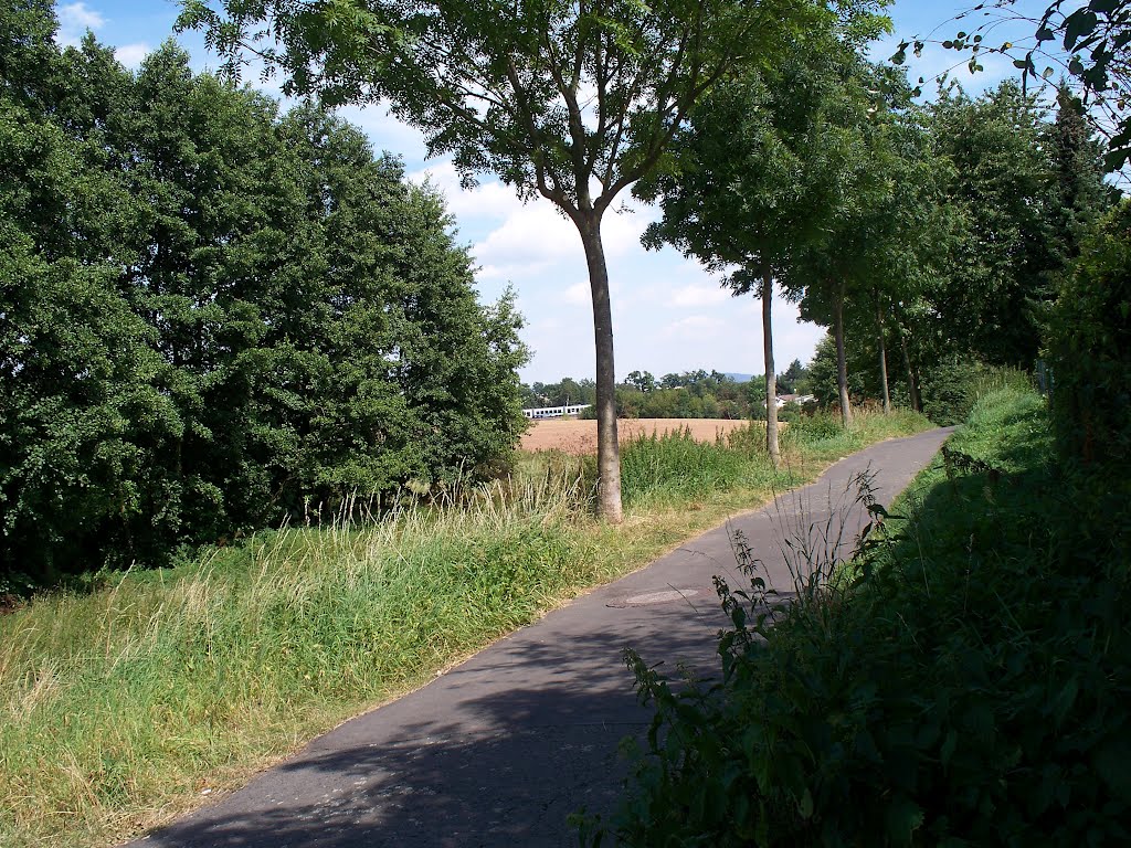 Obervellmar Fuß und Radweg 23.8.2012 by Buchautor u. Schriftsteller Winfried Schäfer 