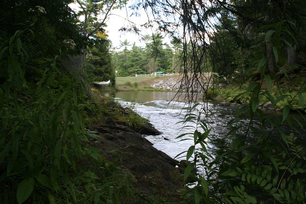 North Kawartha Rest area Eels Creek Hwy 28 by marek 46