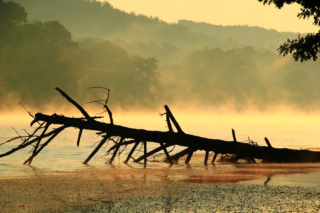 Sunrise Lake Guntersville by gvilletim1960