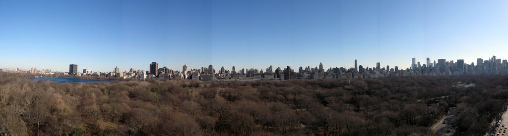 Central Park- New York by Piotr Czekan